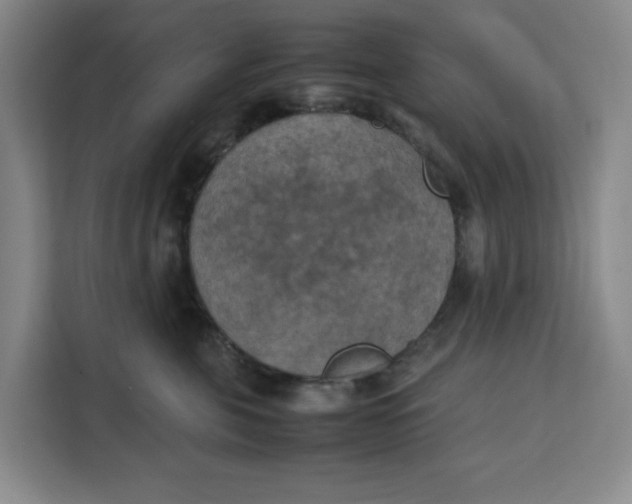 X0000111150571200907141344