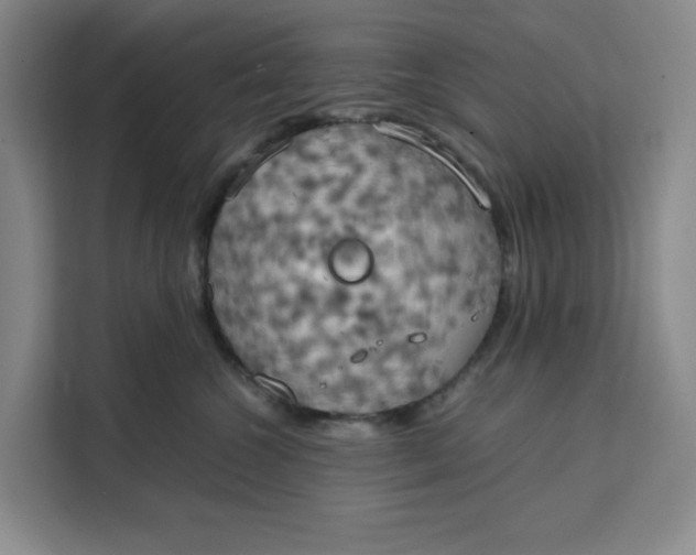 X0000111150572200907141344