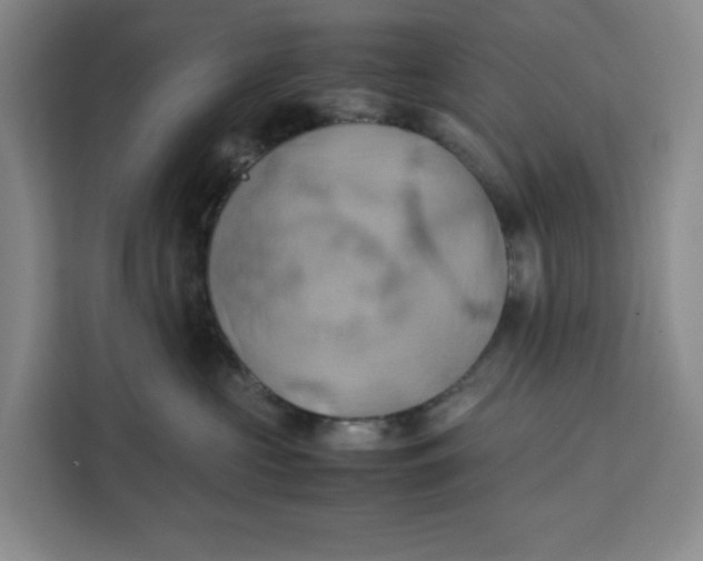 X0000111150573200907141344
