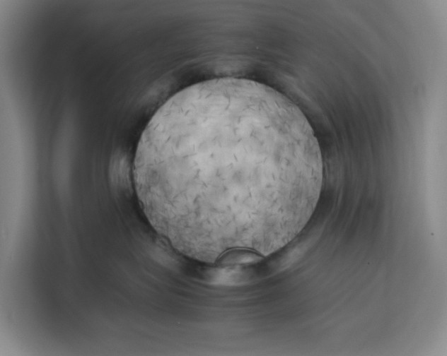 X0000111150575200907141344