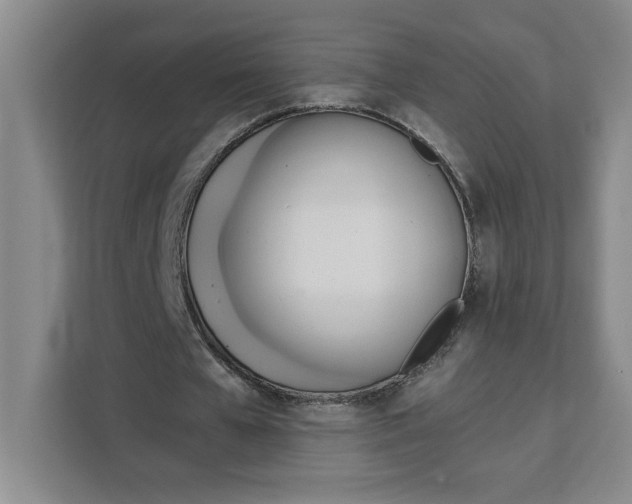X0000111150577200907141343