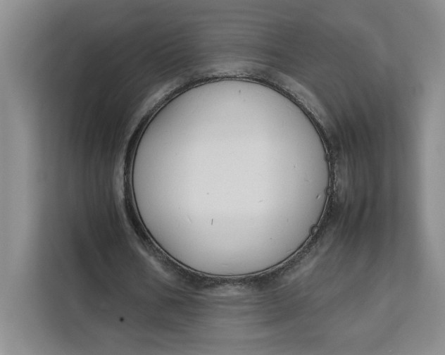 X0000111150578200907141343