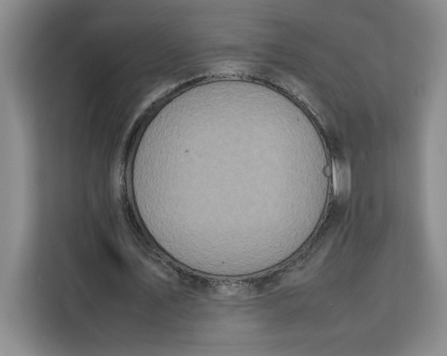 X0000111150579200907141343