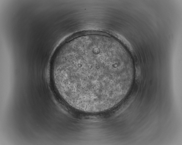 X0000111150580200907141343