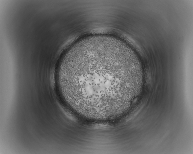 X0000111150586200907141343
