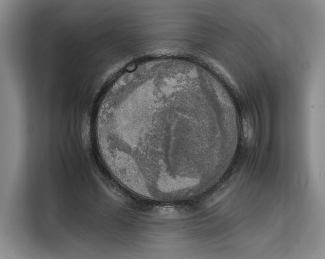 X0000111150588200907141343