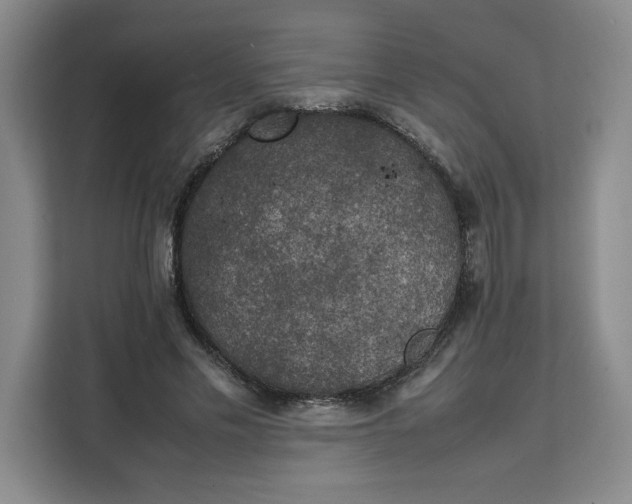 X0000111150589200907141343