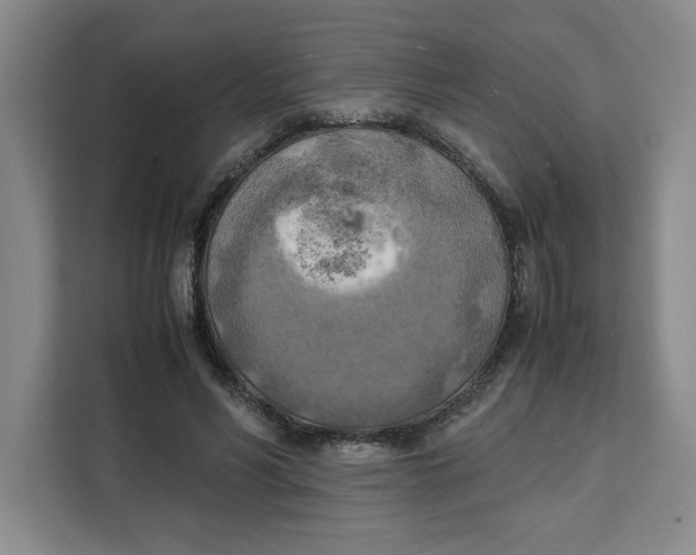 X0000111150590200907141343