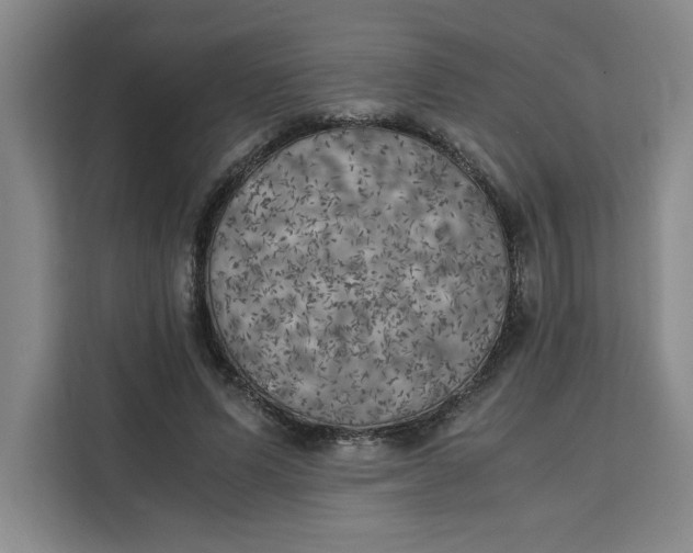 X0000111150591200907141343