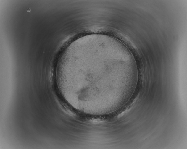 X0000111150592200907141343