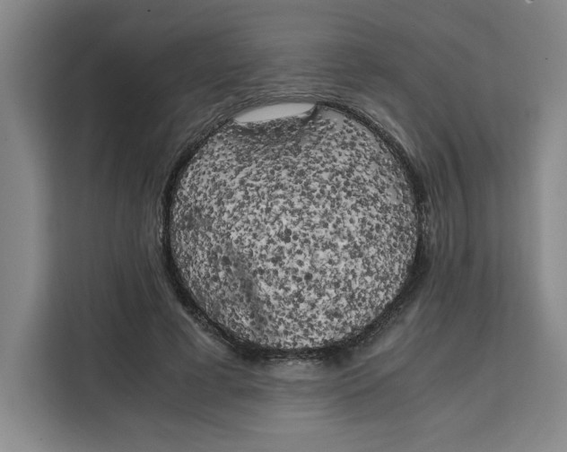 X0000111150593200907141343