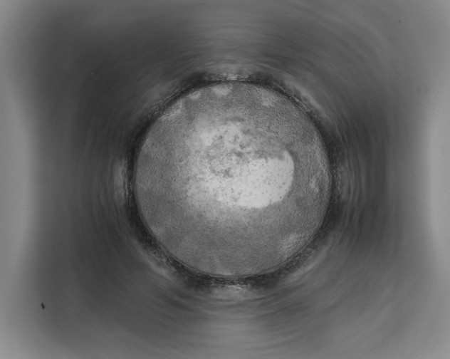 X0000111150594200907141343