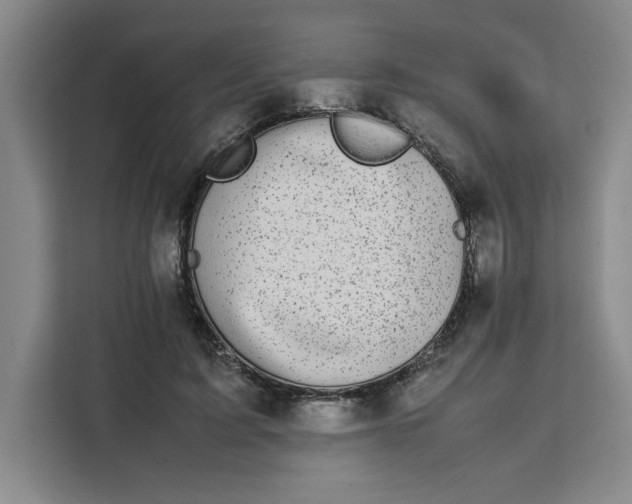 X0000111150595200907141343