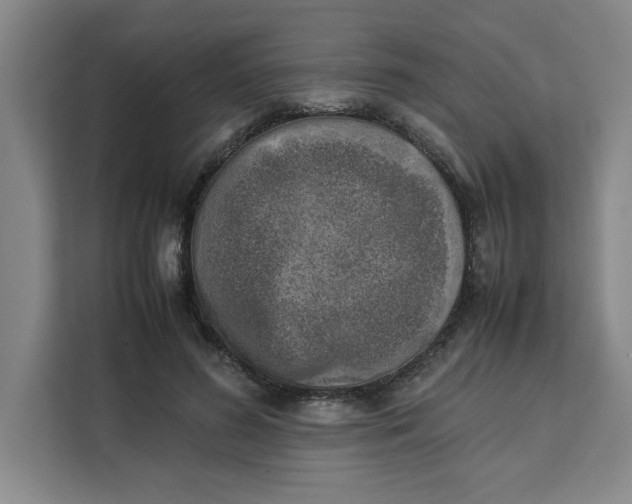 X0000111150596200907141343