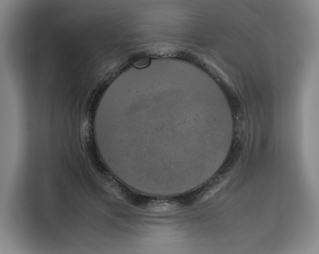 X0000111150597200907141343