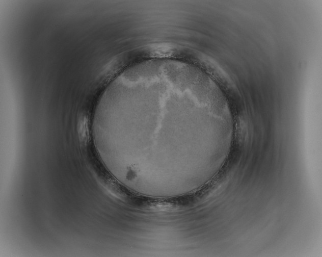X0000111150598200907141343