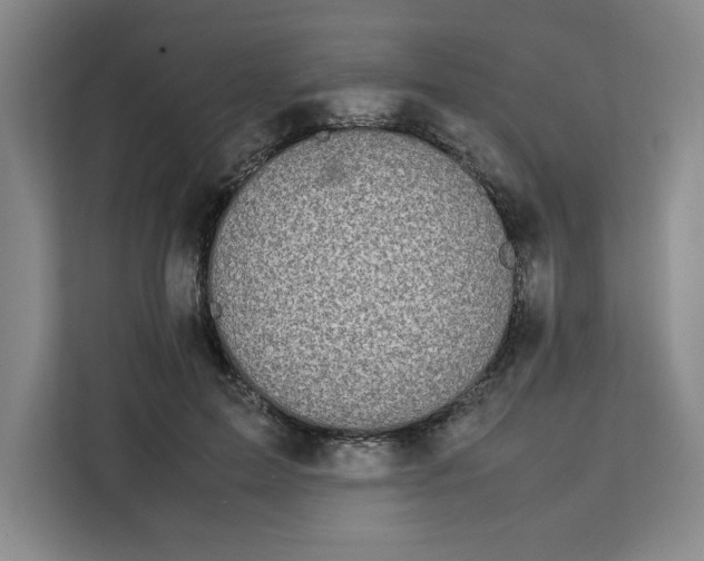 X0000111150599200907141343