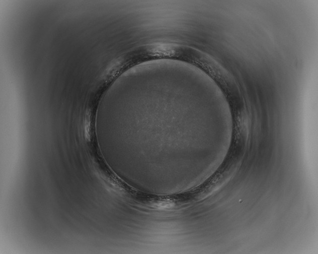X0000111150600200907141343