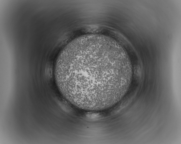 X0000111150602200907141343
