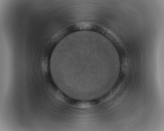 X0000111150604200907141343