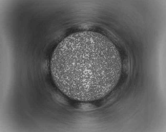 X0000111150605200907141343