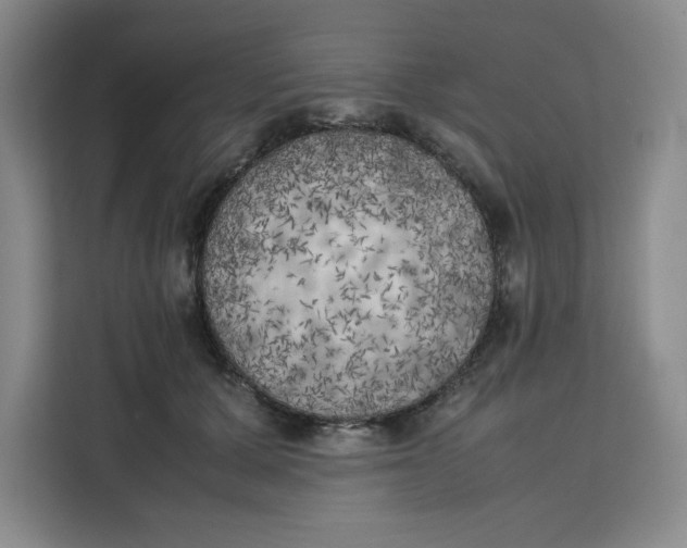 X0000111150607200907141343