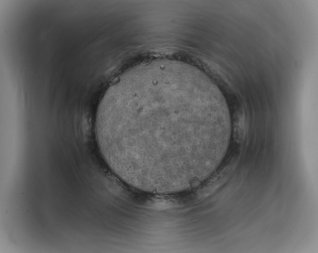 X0000111150608200907141343