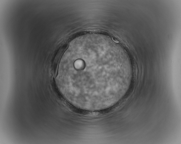 X0000111150609200907141343