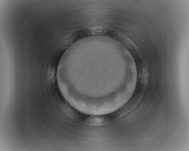 X0000111150610200907141343