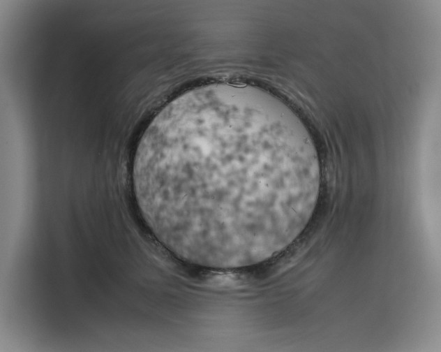 X0000111150611200907141343