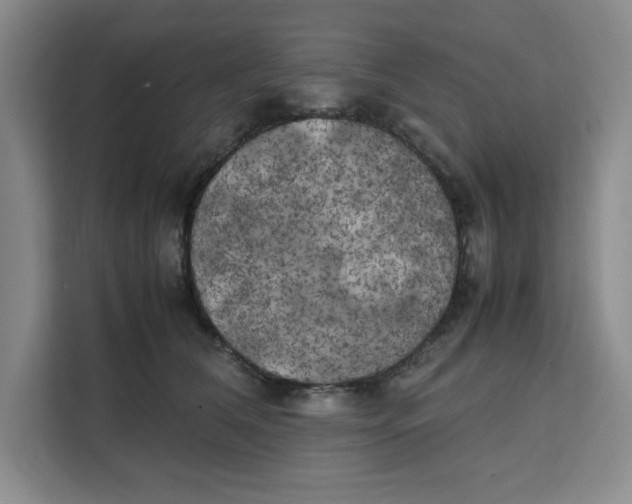 X0000111150612200907141343