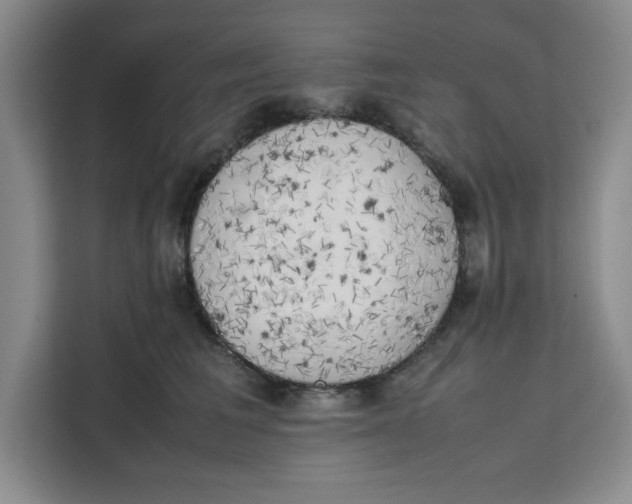 X0000111150613200907141343