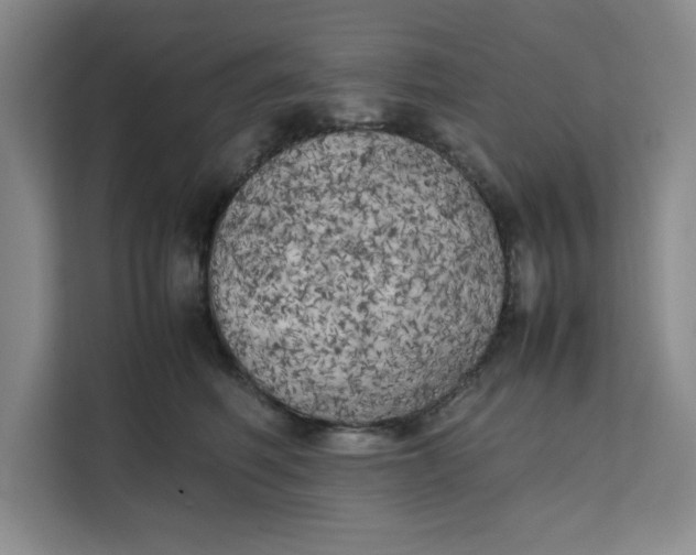 X0000111150614200907141343