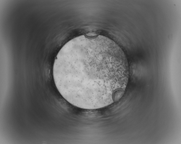 X0000111150615200907141343