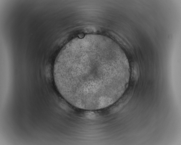 X0000111150616200907141343
