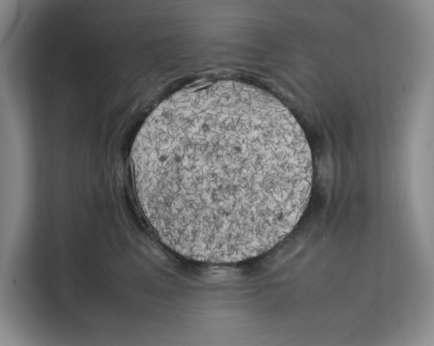 X0000111150617200907141343