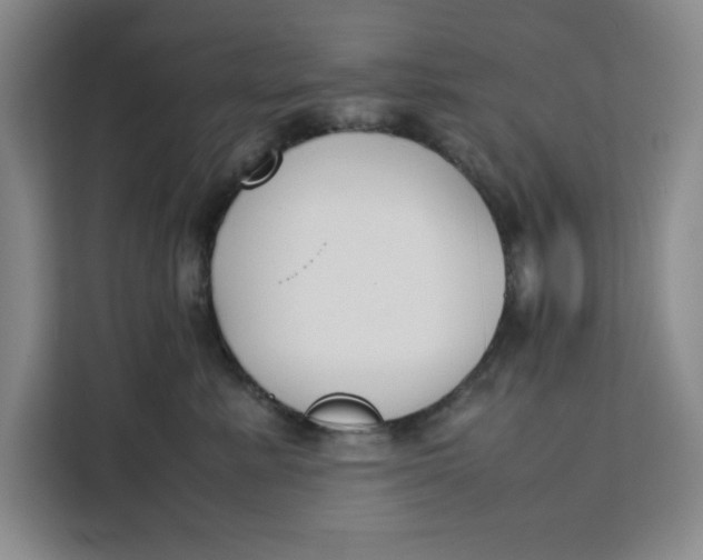 X0000111150619200907141343