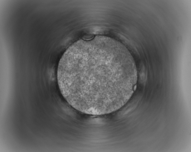 X0000111150620200907141343