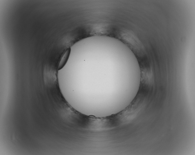 X0000111150621200907141342