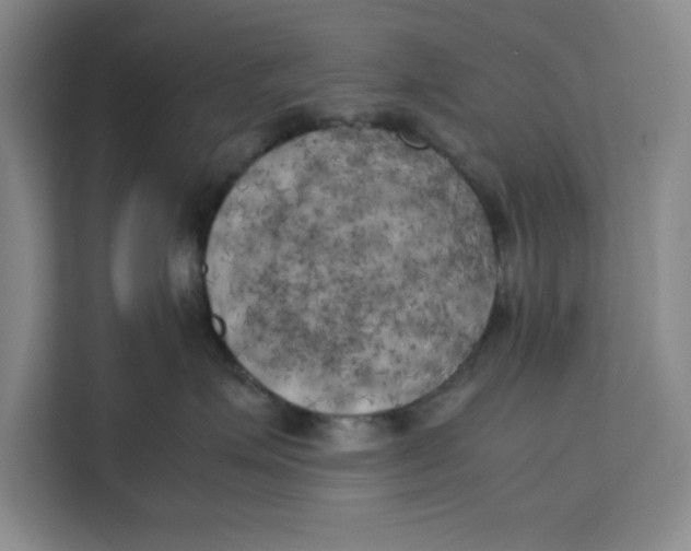X0000111150623200907141342