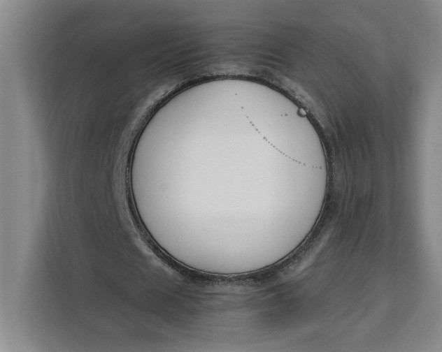 X0000111150625200907141342