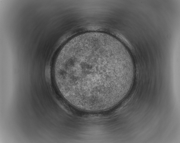 X0000111150626200907141342