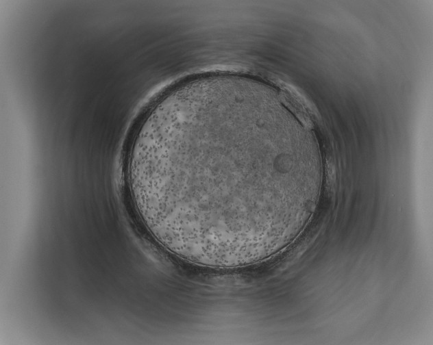 X0000111150628200907141342