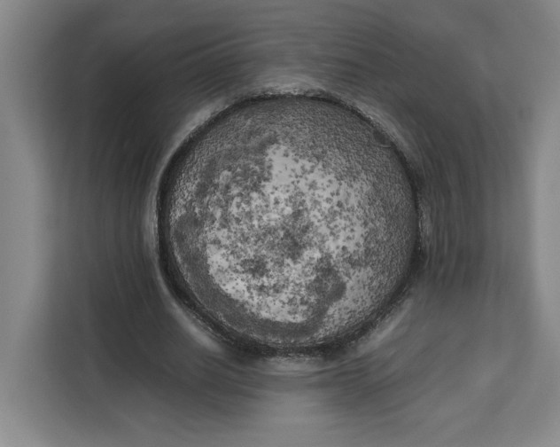 X0000111150630200907141342