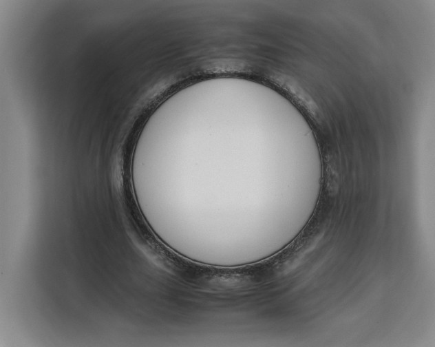 X0000111150631200907141342