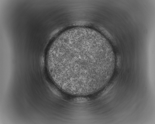 X0000111150636200907141342