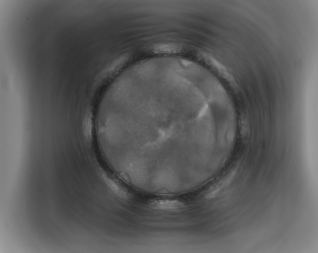 X0000111150637200907141342
