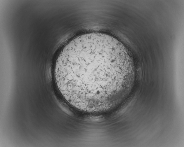 X0000111150638200907141342