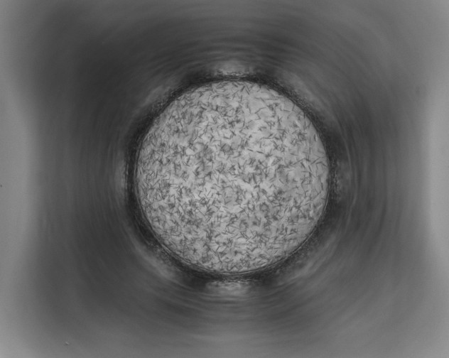 X0000111150639200907141342