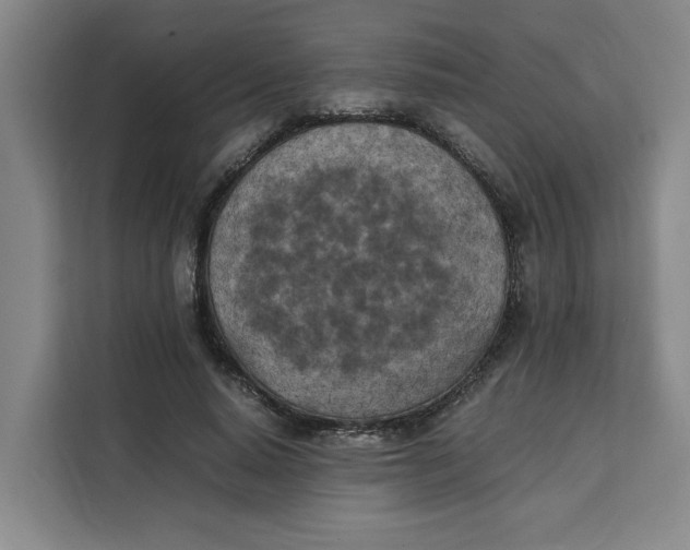 X0000111150640200907141342
